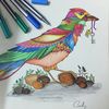 Farzana