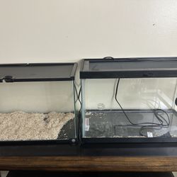 2 10 Gallon Tanks With Heat Mat And Thermostat 