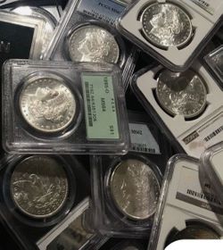 Premium Morgan Silver Dollar Collection for Sale — Seattle Local Only