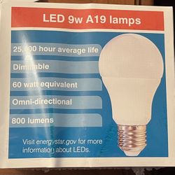 2-pack 9w A19 LED Light Bulbs 