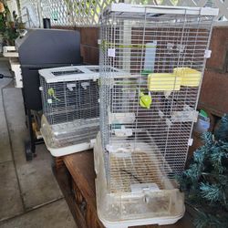 Vision Bird Cages