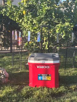 IGLOO,ICE CHEST,COOLER,HIELERA