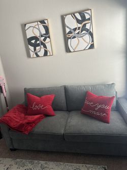 Gray Sofa / Couch