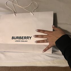 Empty Burberry Bag