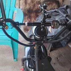 Citycoco Electric Scooter 