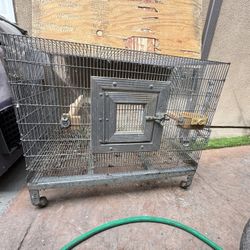 Bird Cage