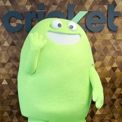 Cricket Wireless 