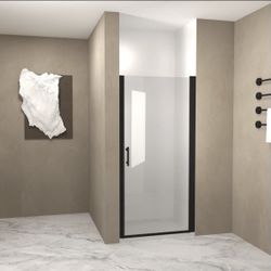 Shower Door 
