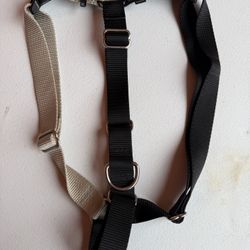 PetSafe Easy Walk No-Pull Dog Harness  Perfect for Leash & Harness Training size XL