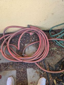 Hose (mangera)