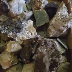 Polished Rock Crystal Fossiles