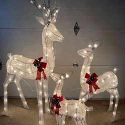 Brand New Indoor Or Outdoor Christmas Decoration With LED Lights 
