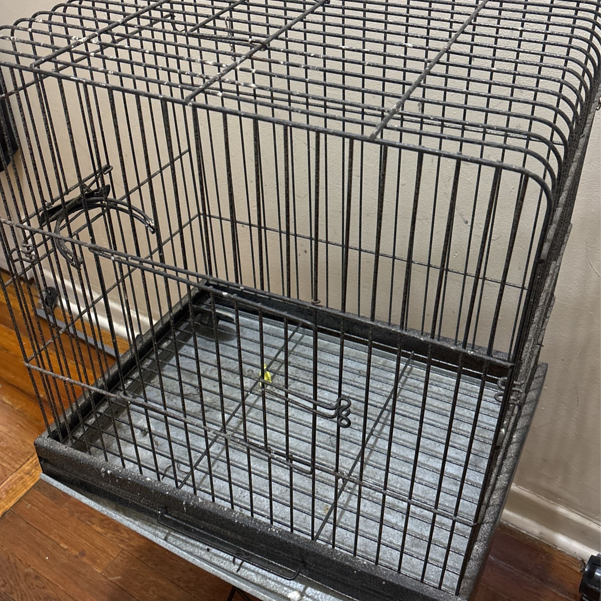 $25 Cage only. 