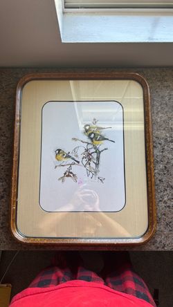 Framed Bird Art Print with Wood Frame
