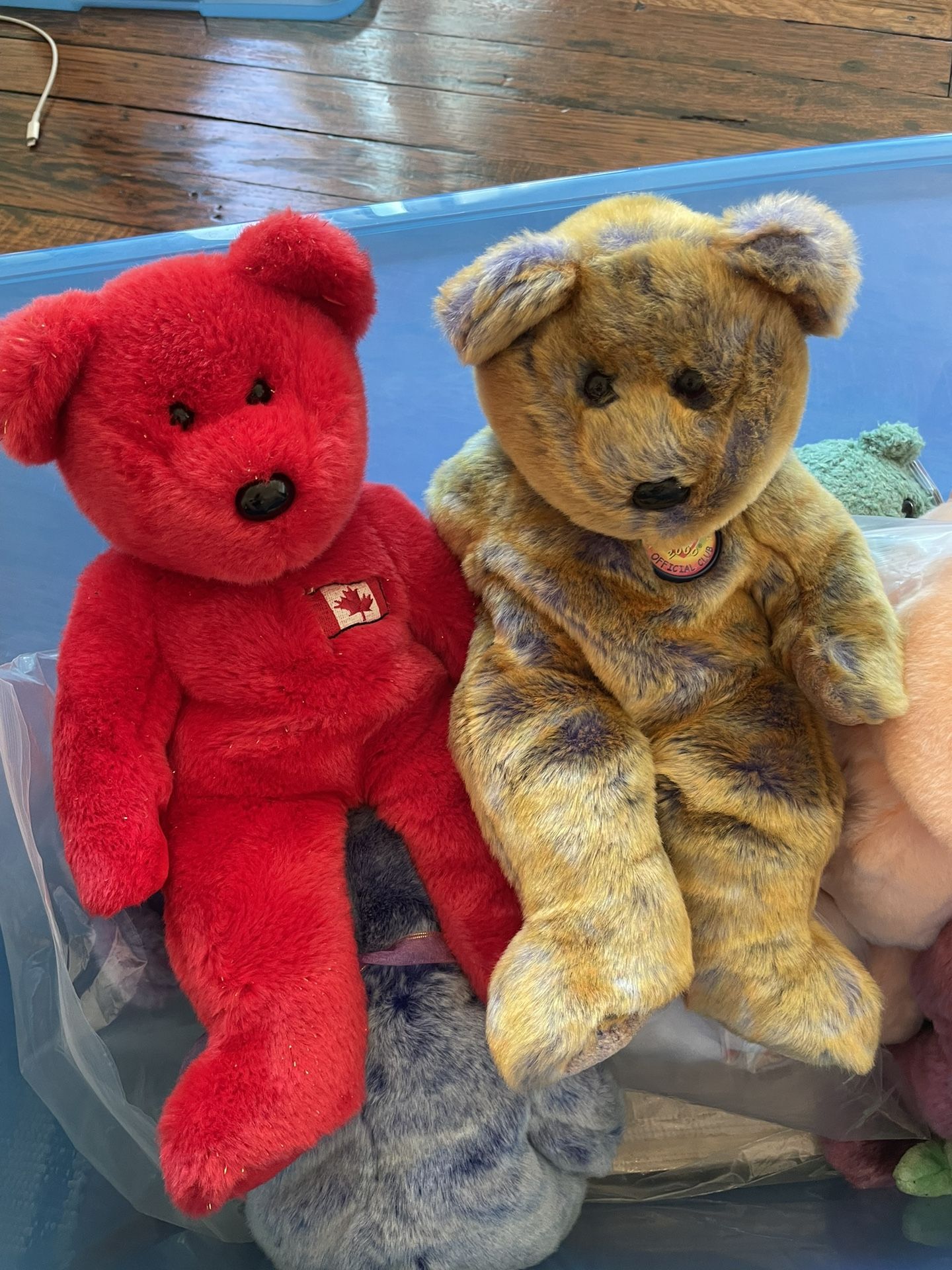 Beanie Baby Collection