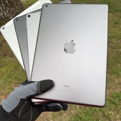 iPads 5 / 6 / 8 / Pro