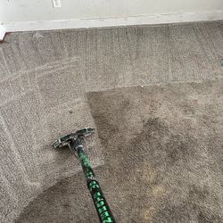 Carpet Cleaner
