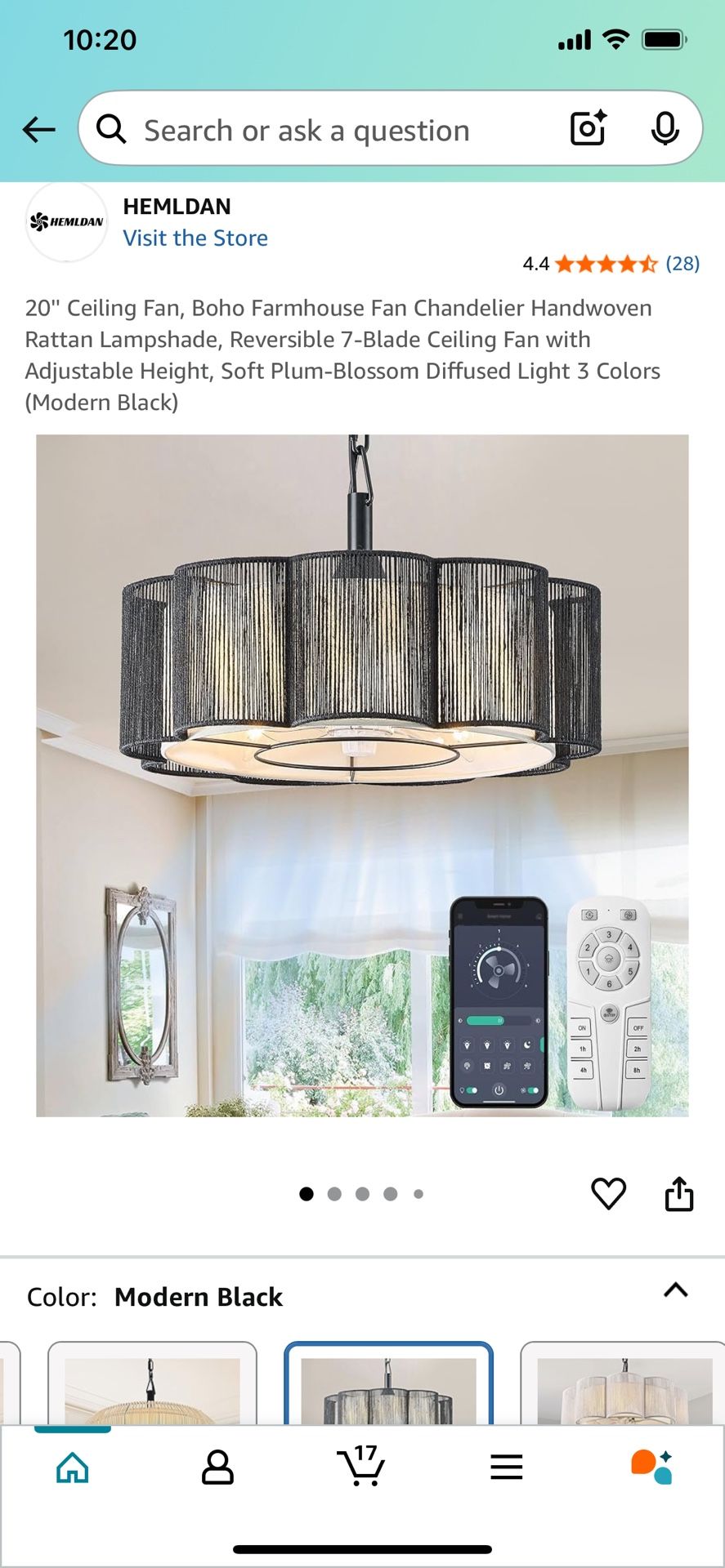Boho Style Fan/chandelier