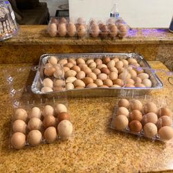 Fresh Farm Eggs – Large Lot