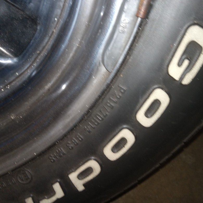 14" Cutlass Rallies