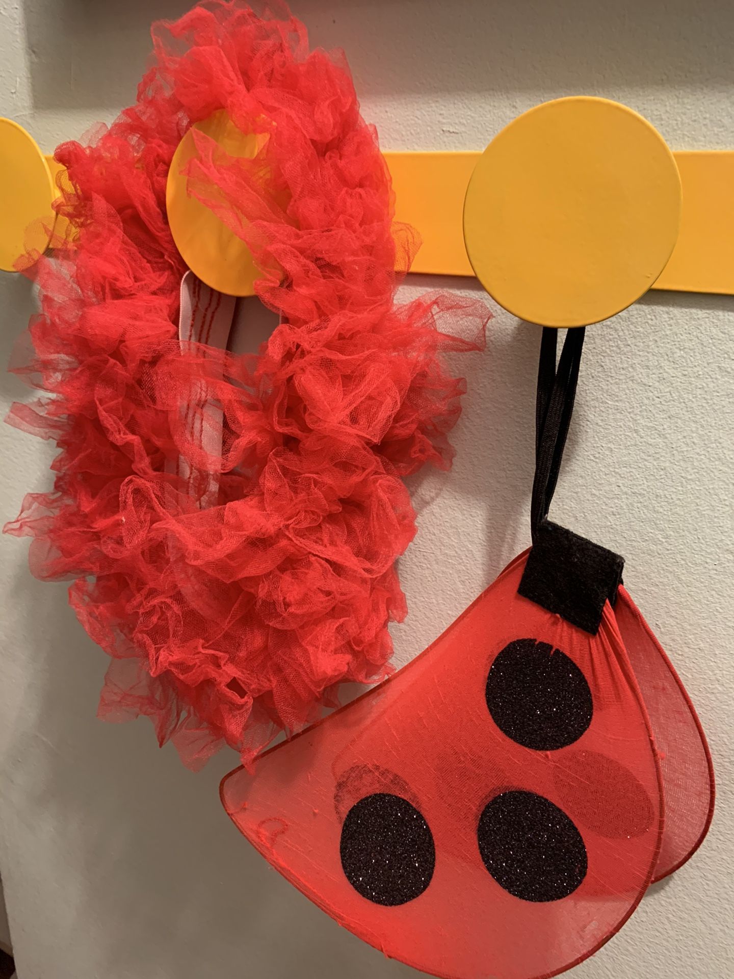 Costume- Lady Bug Girl tutu and wings