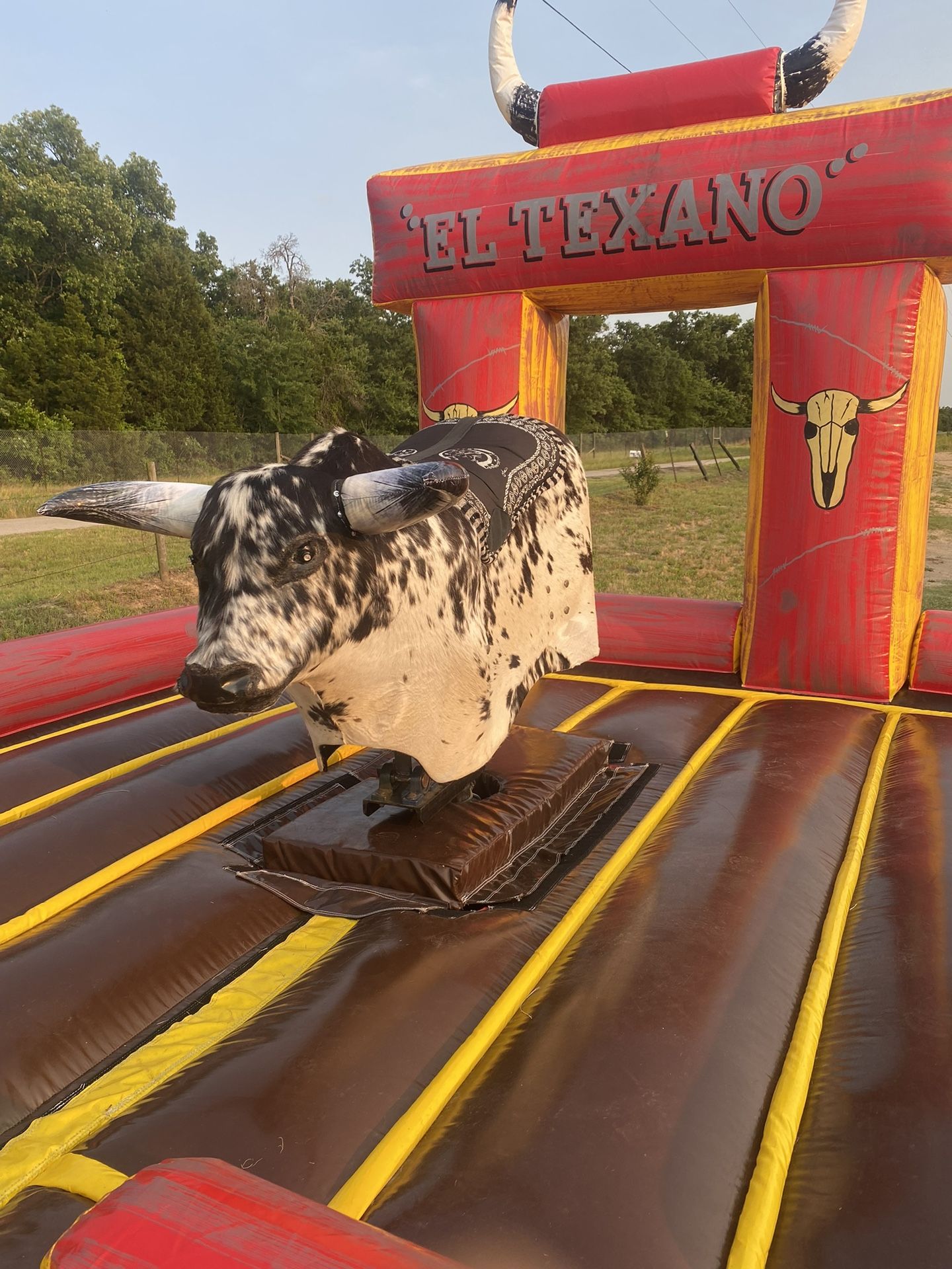 Venta Y Renta De Toros Mecanicos