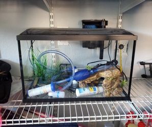 10 Gallons Aquarium everything included ready to set up