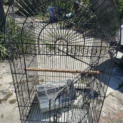 Bird cage 