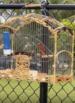 Bird cage