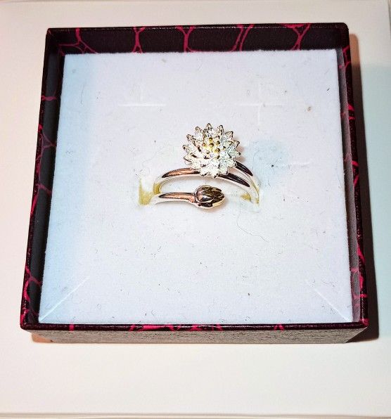 Silver Tone Ring