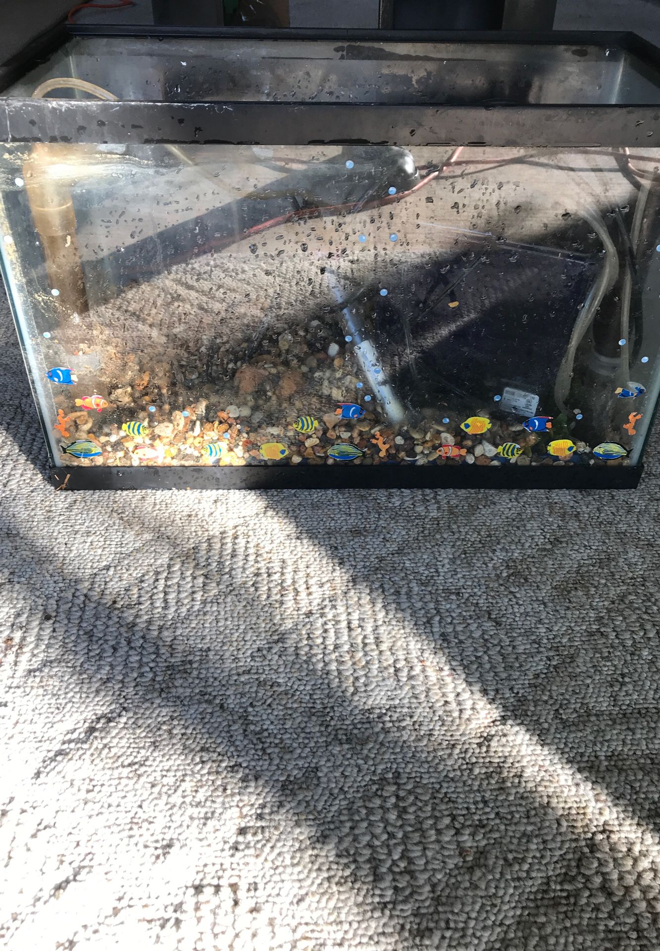 Fish Tank- Includes everything but the cover with light I thinks it’s a 20 gallon tank. With cabinet stand and extra filters. $50.