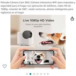 Pet Cam