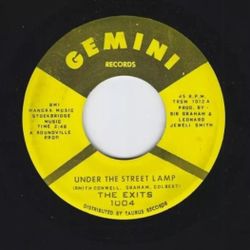 Oldies Vinyl 45