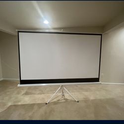 Projector Screen For Sale