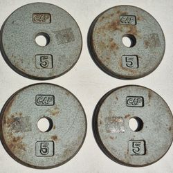 WEIGHTS, 20 POUNDS, (4 @ 5 lbs), WEIGHT PLATES, STILL WEIGHS 20 LBS 