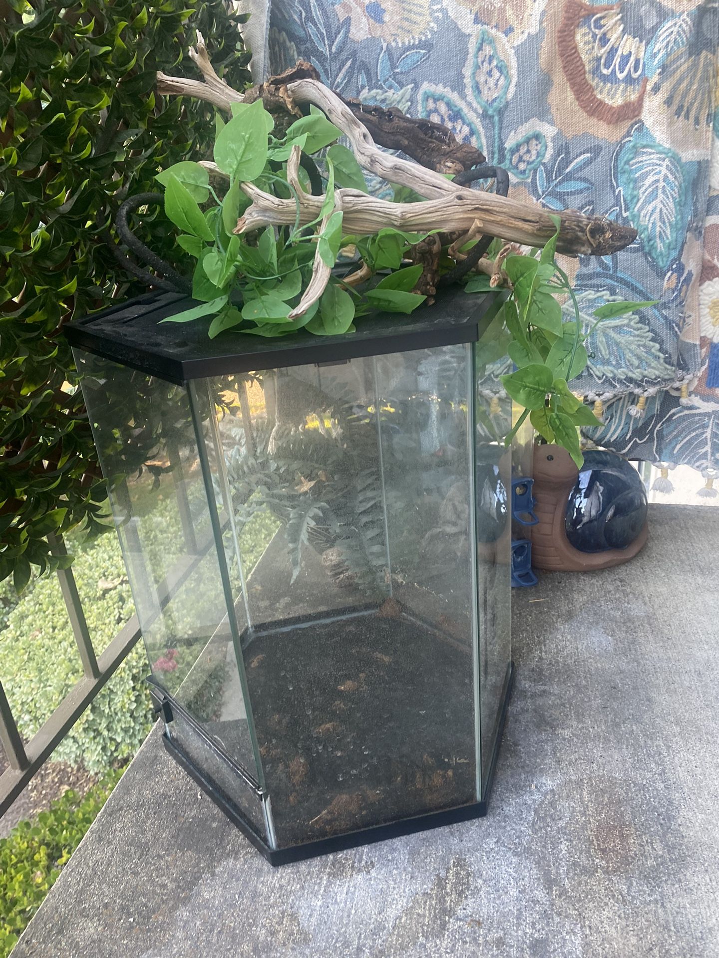 Reptile Tank