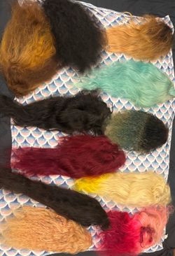 Used wigs (name your price)