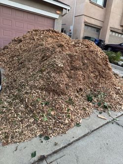 Free mulch , ground cover