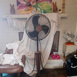 HOMES DECORATIVE OSCILLATING STAND FAN WITH COPPER TONE AND BLACK BASE 