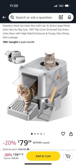 Cat Litter Box