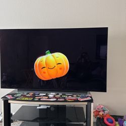 LG OLED EVO 55inch 