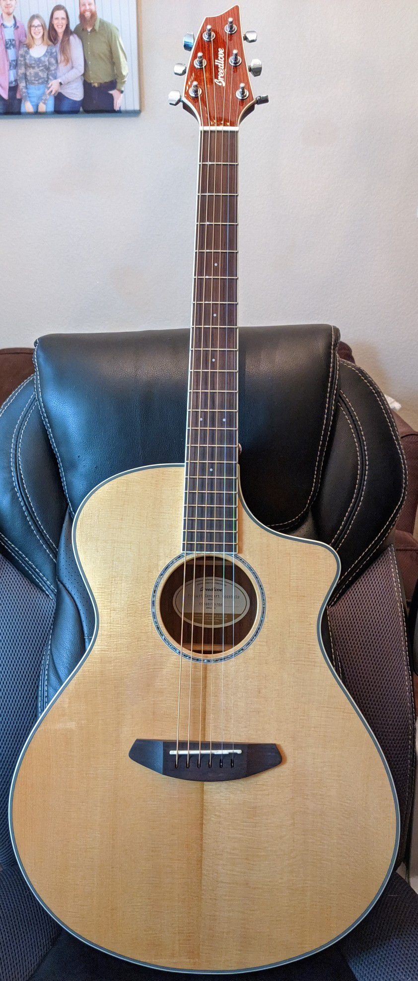 NEVER PLAYED - MINT- Breedlove Pursuit Ex Concert Cocobolo CE Acoustic-Electric Guitar. With Soft bag - $600 firm