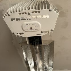 Growing Lights 