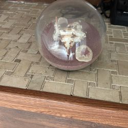 Sand Globe W/ Seashells