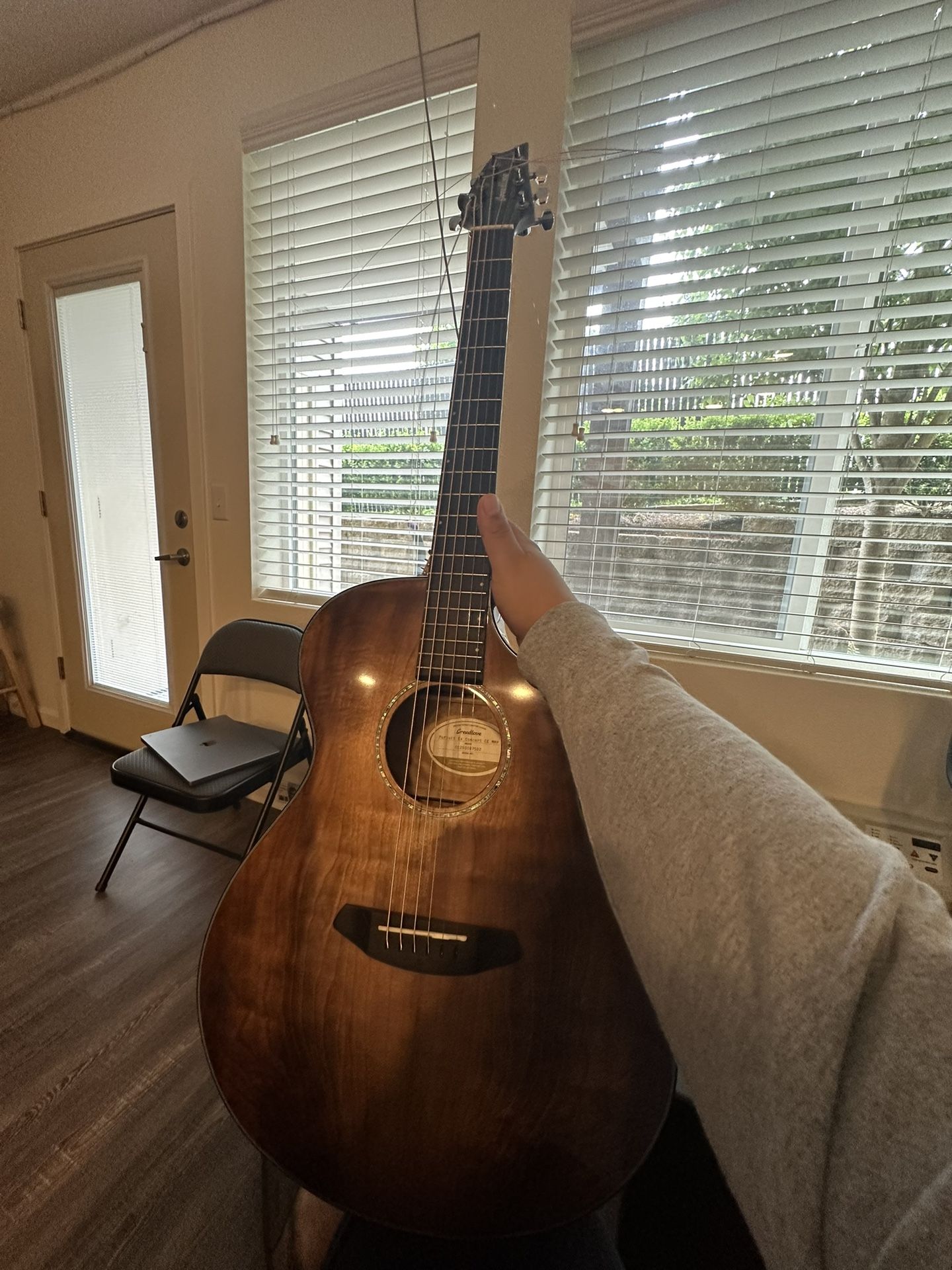 Breedlove Myrtle Wood Guitar OBO