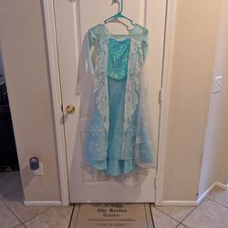 Disney Princess Elsa Specialty Dress Size 5