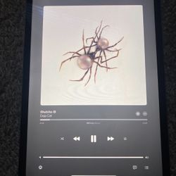iPad Pro 11