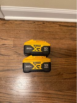20V MAX Lithium-Ion 10.0Ah Battery (2 Pack)