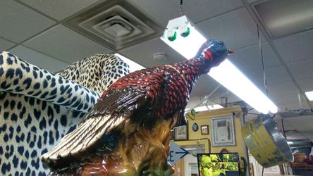 Wild turkey bottle...