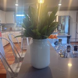 Plant In A Mason Jar 